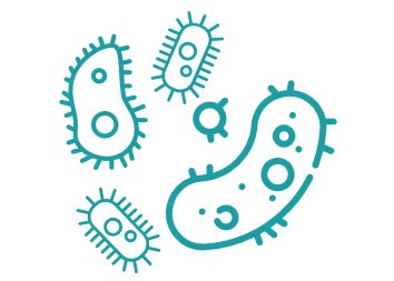 antibacterienne2